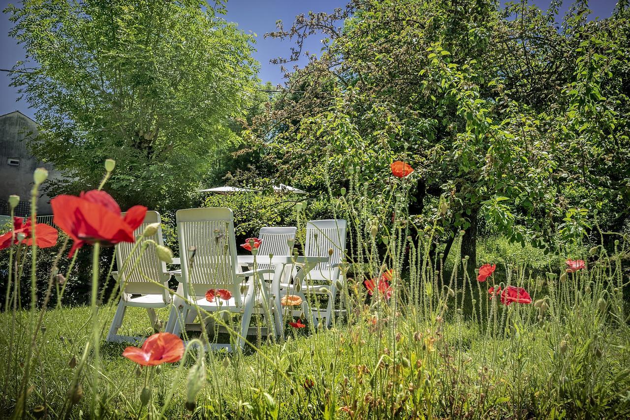 Logis Hotel Restaurant Le Mont Aigoual Meyrueis Eksteriør billede